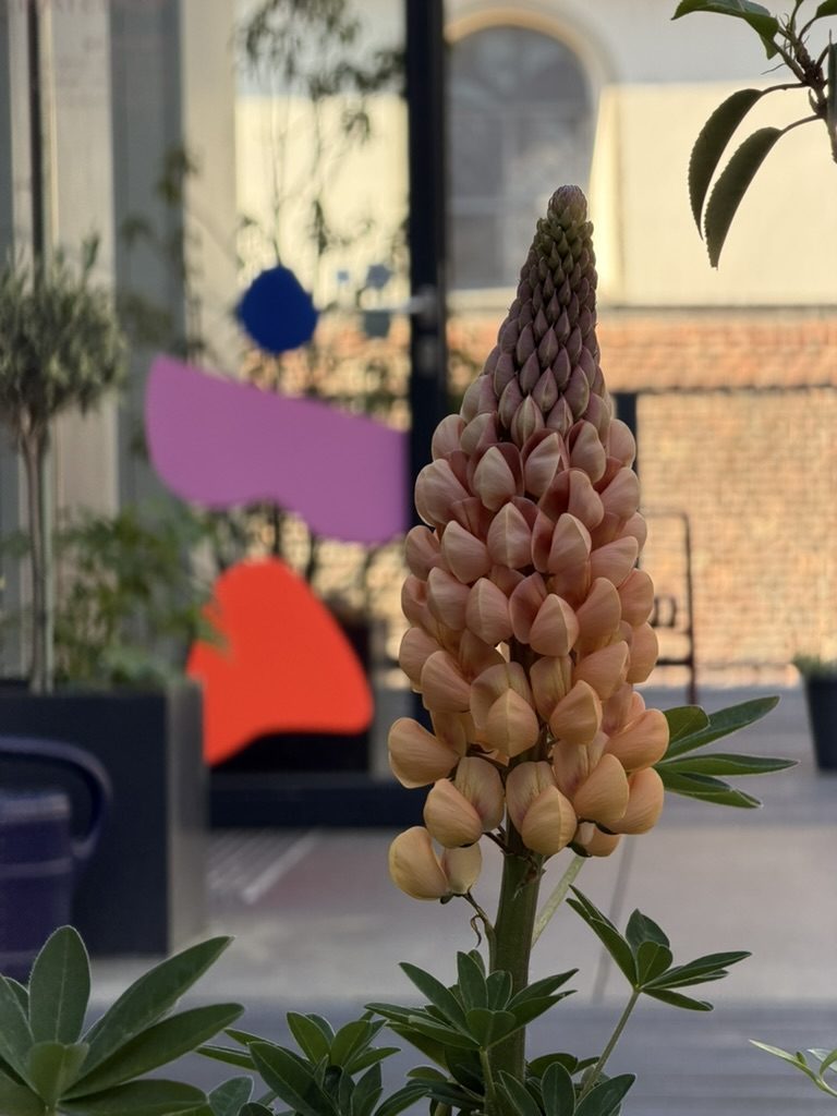 Flower detail